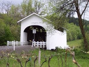 Hiking in Corvallis, Oregon - Fernwood Circle Guest Houses