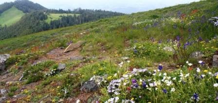 Hiking in Corvallis, Oregon - Fernwood Circle Guest Houses