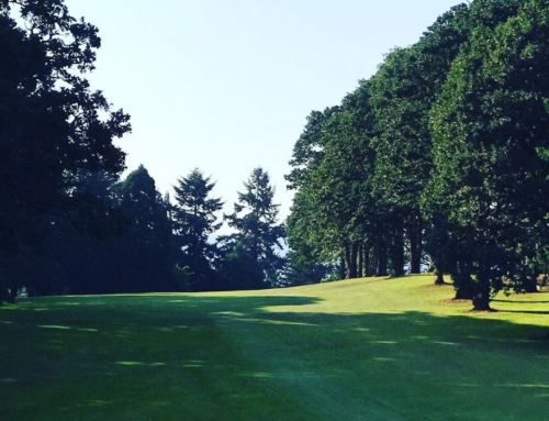Golfing in Corvallis – a Visitors Guide