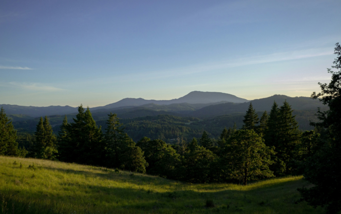 scenic view at Fitton Green in Corvallis - great for hiking and biking!