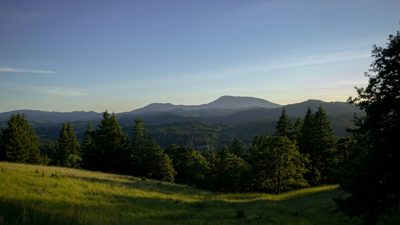 scenic view at Fitton Green in Corvallis - great for hiking and biking!