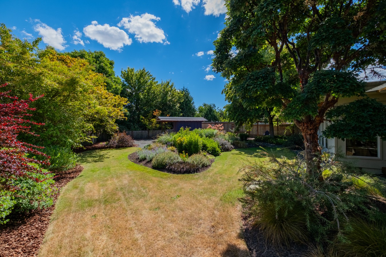 Landscaped backyard with island planting beds, a lawn, and mature shade trees