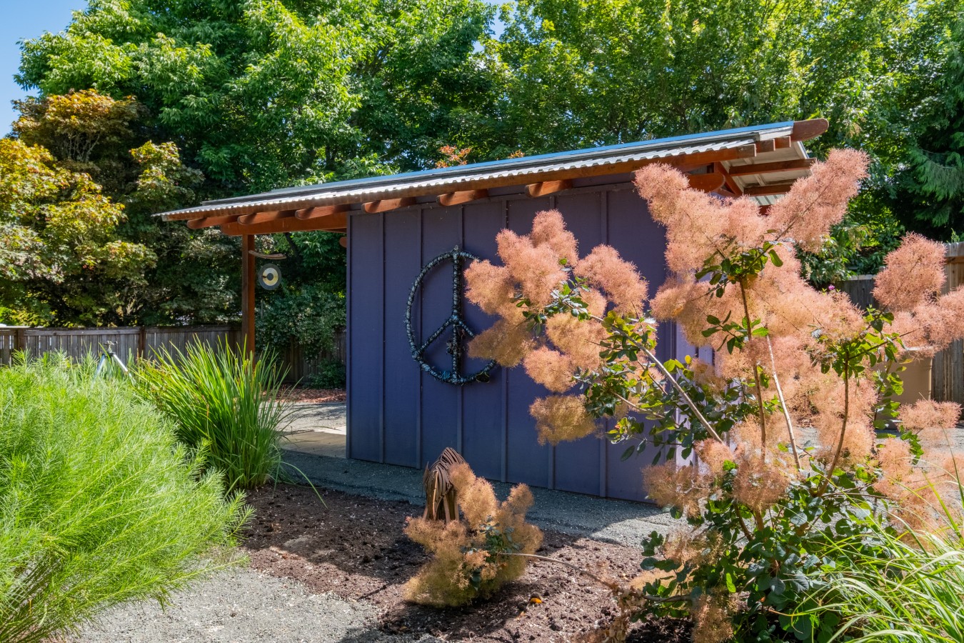 Detached garden studio with a metal roof, framed by a smoke bush in the backyard